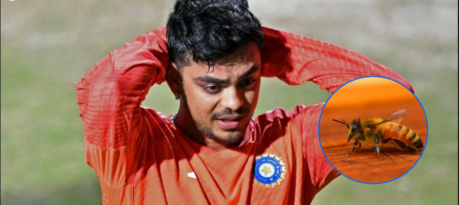 IND Vs NZ: Pandya, Kishan, and Yadav Out – Who Will Save Team India?